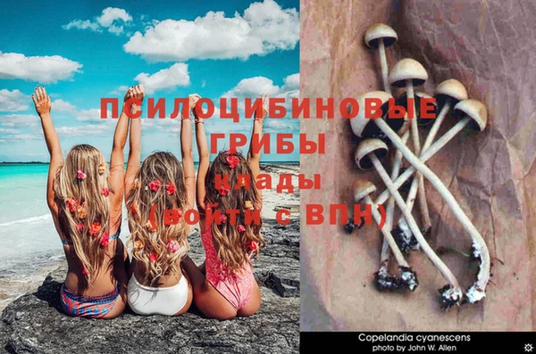 марки lsd Богородск