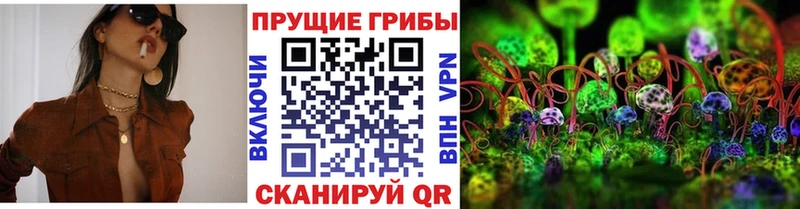 Галлюциногенные грибы Psilocybine cubensis купить наркотик Северск