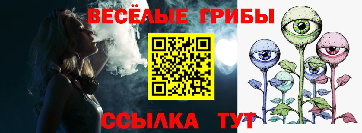 Северск  купить наркотик  Вход с VPN  Псилоцибиновые грибы прущие грибы 