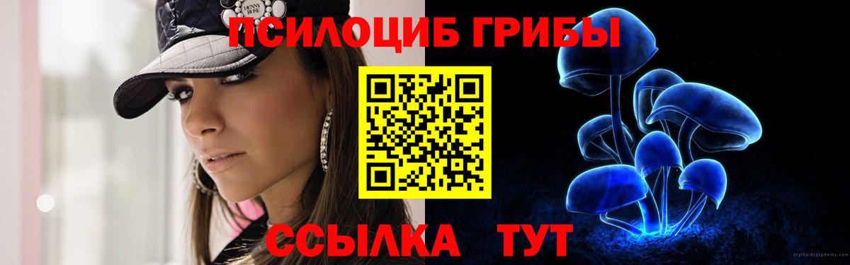 Псилоцибиновые грибы мухоморы Северск